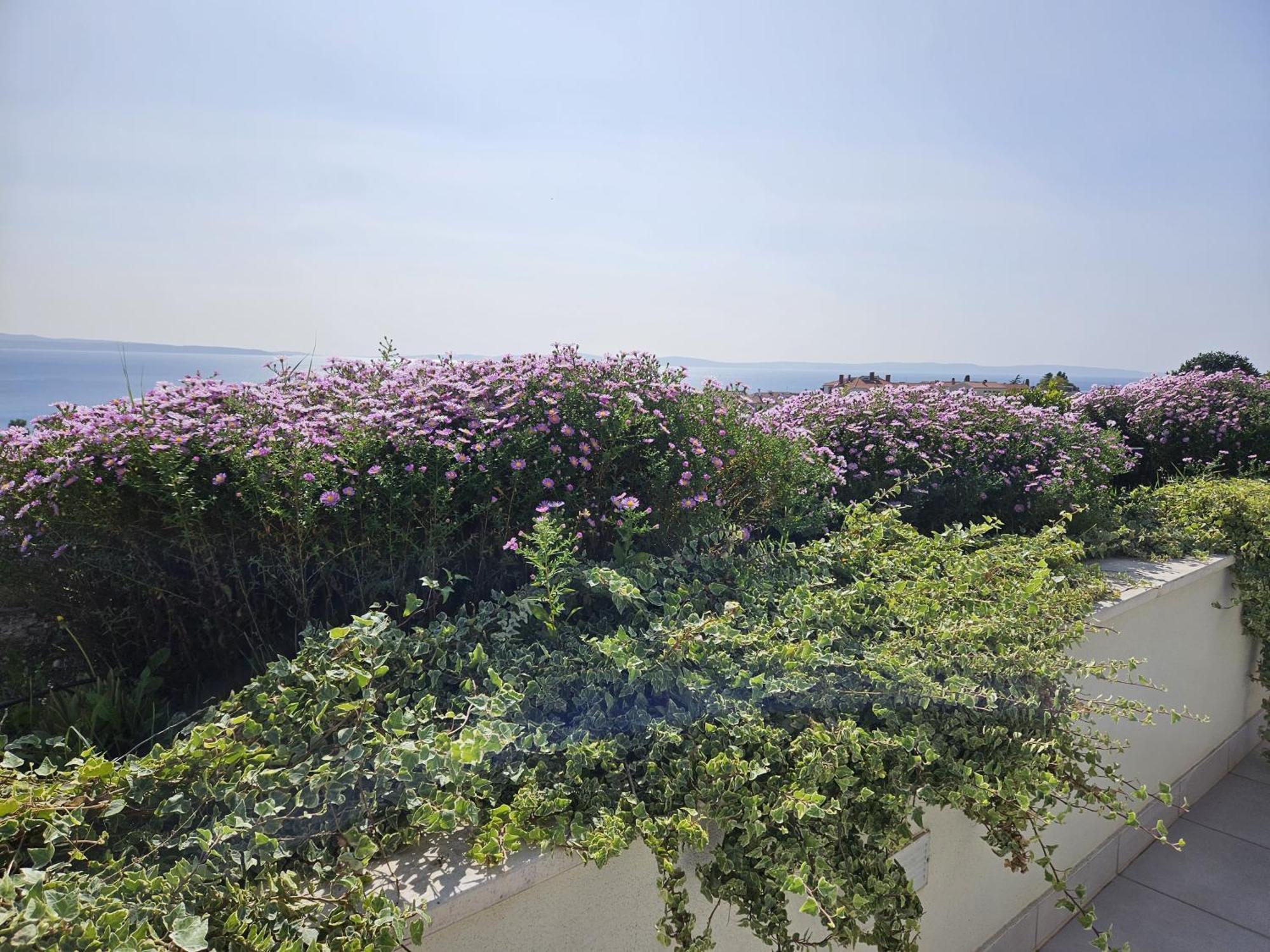 ספליט Tajla Rooms מראה חיצוני תמונה